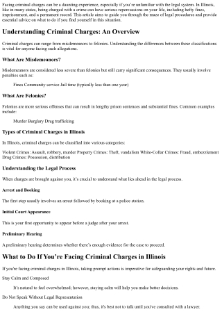 What to Do If You’re Facing Criminal Charges in Illinois