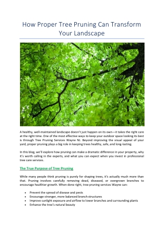 How Proper Tree Pruning Can Transform Your Landscape