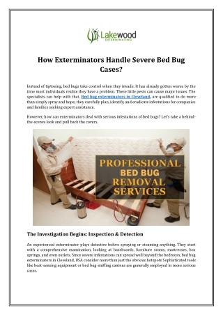How Exterminators Handle Severe Bed Bug Cases?