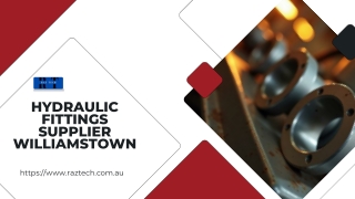 Hydraulic Fittings Supplier Williamstown-httpswww.raztech.com.au