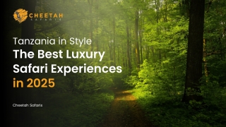 Tanzania Luxury Safaris: The Best Experiences for 2025