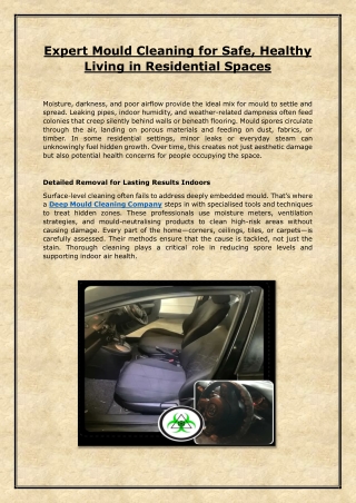 Expert Mould Cleaning for Safe