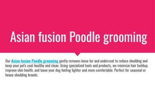Asian fusion Poodle grooming