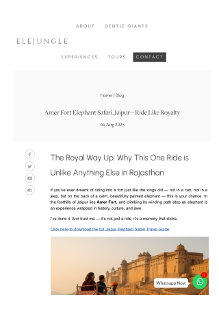 Amer Fort Elephant Safari