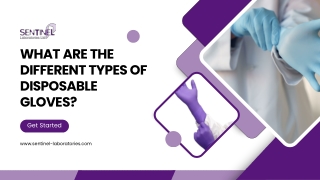 Exploring the Varieties of Disposable Gloves