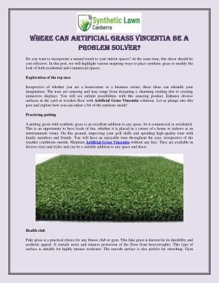 Where can Artificial Grass Vincentia Be a Problem Solver