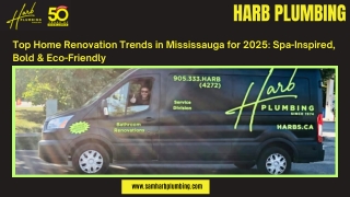 Top Home Renovation Trends in Mississauga for 2025 Spa-Inspired, Bold & Eco-Friendly (1)