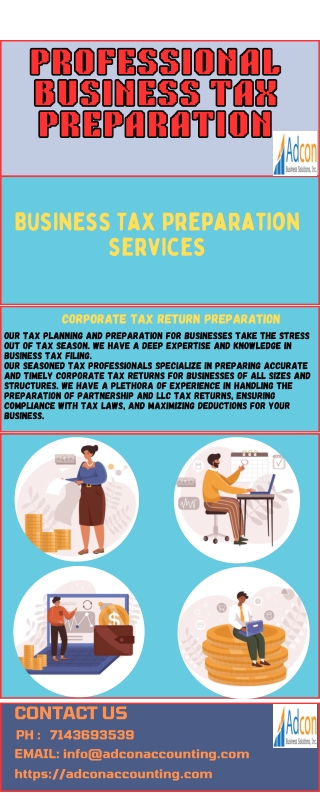 Professional Business Tax Preparation