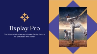 1xplay | India's Most Trusted Online Cricket Betting Id Provider