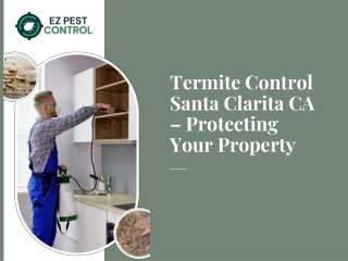 Proven Solutions to Protect Homes from Termites