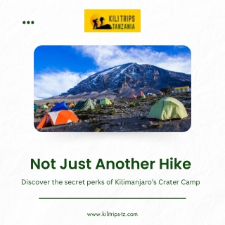 Sleep Above the Clouds — Inside Kilimanjaro’s Crater