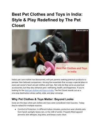 Best Pet Clothes and Toys in India