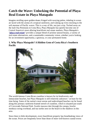 Catch the Wave: Unlocking the Potential of Playa Real Estate in Playa Matapalo