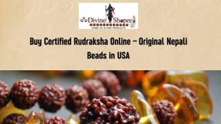 ISO Certified Rudraksha Beads – Buy Genuine Nepali Rudraksha in USA