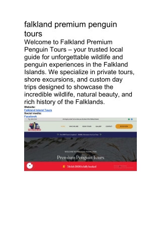 falkland premium penguin tours