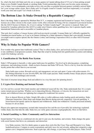 Is Stake Owned by a Reputable Company? A Deep Dive Into Its Popularity Among Gam