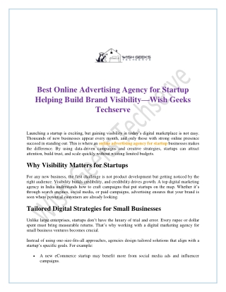 Best Online Advertising Agency for Startup Helping Build Brand Visibility—Wish Geeks Techserve