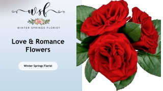 Choosing the Perfect Flowers for Romance