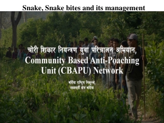 Snake