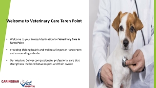 Trusted Veterinary Care Taren Point – Compassion, Expertise & Community Focus