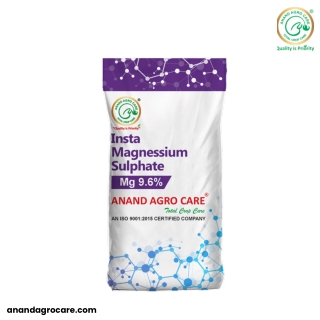 Magnesium Sulphate Fertilizer – Essential Nutrition for Healthy Crops