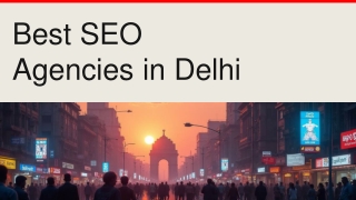 Top Search Engine Optimization Companies in Delhi