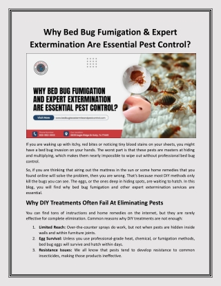 Why Bed Bug Fumigation & Expert Extermination Are Essential Pest Control