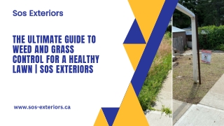 The Ultimate Guide to Weed and Grass Control for a Healthy Lawn | SOS Exteriors