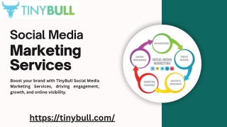 TinyBull Social Media Marketing Services with Creative Content
