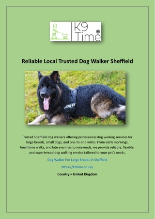 Reliable Local Trusted Dog Walker Sheffield
