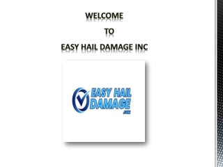 auto paintless dent removal