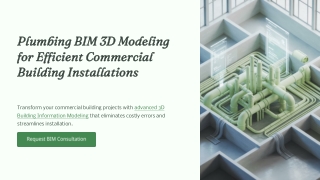 Plumbing BIM 3D Modeling for Efficient Commercial Building Installations