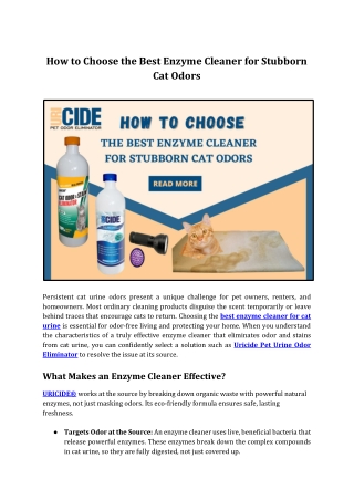 Best Enzyme Cleaner Options for Cat Odor Removal
