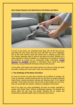How Carpet Cleaners Can Help Remove Pet Stains and Odors