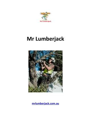 Mr Lumberjack