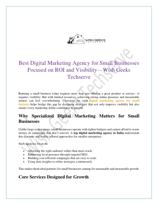 Best Digital Marketing Agency for Small Businesses Focused on ROI and Visibility—Wish Geeks Techserve