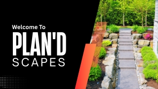 landscaping strathfield