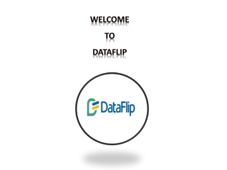 DataFlip