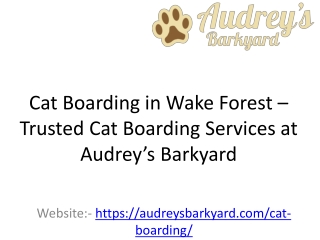 Cat Boarding in Wake Forest – Trusted Cat Boarding Services at Audrey’s Barkyard