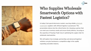 Who supplies wholesale smartwatch options with fastest logistics