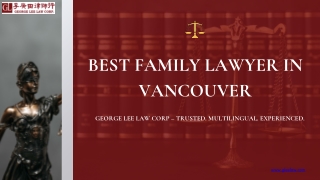 Best Family Lawyer In Vancouver | Divorce & Custody Experts