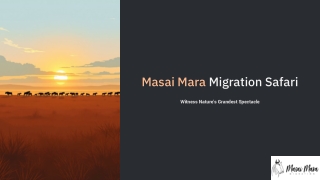 Masai-Mara-Migration-Safari