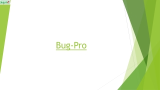 Bug-Pro: Trusted Pest Control and Fumigation Company in Nigeria