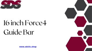 Buy Durable 16 inch Force4 Guide Bar Online at Best Price