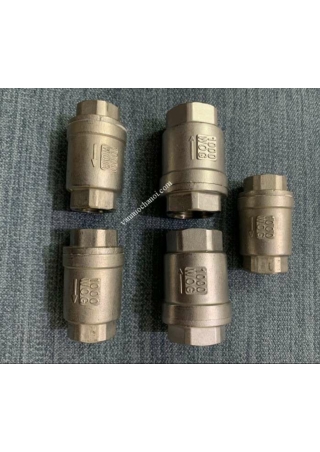 Van một chiều lò xo - vanbidien