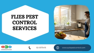 flies pest control services