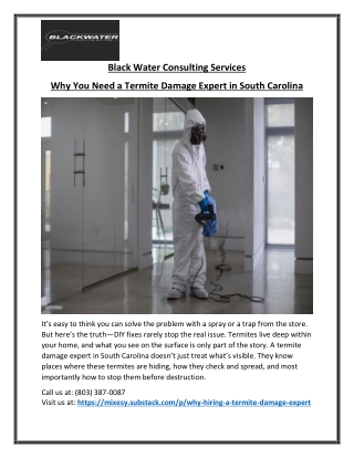 Reliable South Carolina Termite Damage Specialist