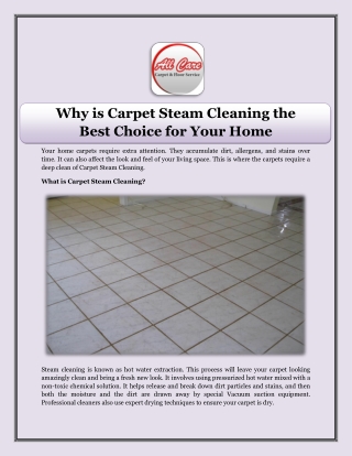 Why is Carpet Steam Cleaning the Best Choice for Your Home