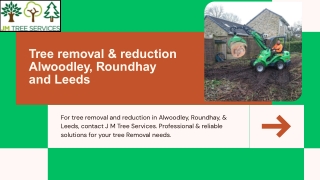 Tree removal & reduction Alwoodley, Roundhay and Leeds