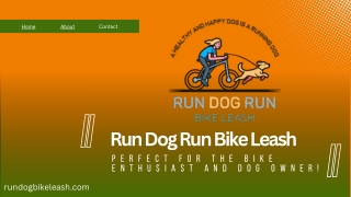 Run Dog Run Bike Leash